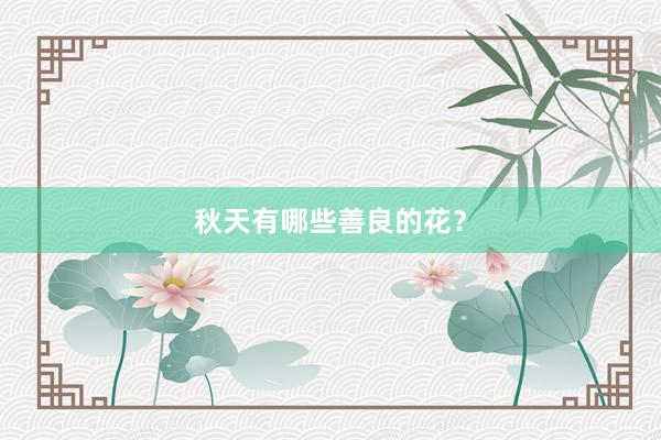 秋天有哪些善良的花？