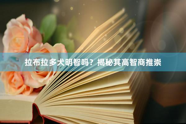拉布拉多犬明智吗？揭秘其高智商推崇
