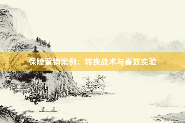 保障营销案例：转换战术与奏效实验
